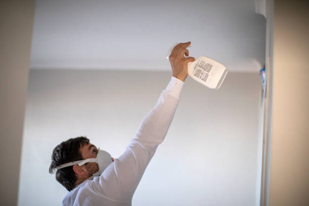 Best Attic Mold Removal  in Lexington, VA