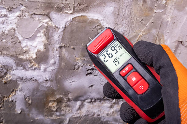 Best Mold Removal Near Me  in Lexington, VA