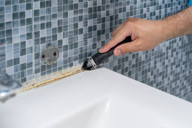 Best Toxic Mold Removal  in Lexington, VA